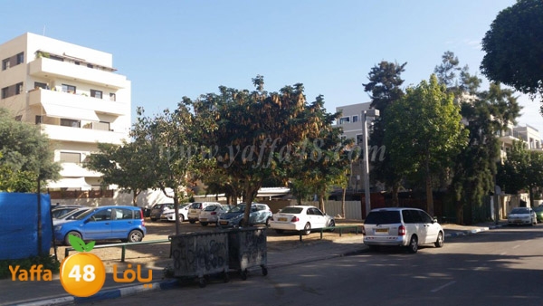 sakan baladiyash (1).jpg